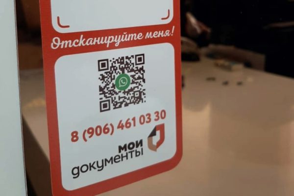 Сотрудники МФЦ Ставрополья проконсультируют жителей края по WhatsApp
