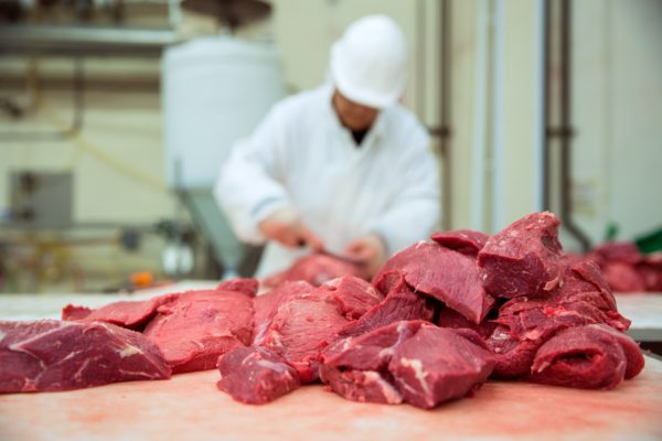 На Ставрополье начал работу новый мясоперерабатывающий комбинат